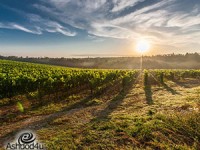 משקים למכירה – משקיעים היום בשביל העתיד