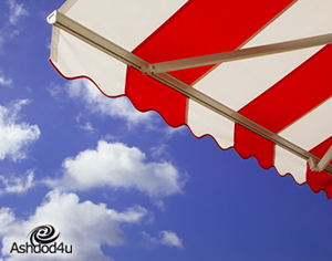 כל הסיבות לקנות ציליה לים