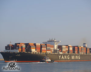 נמל אשדוד שובר שיא: האונייה הגדולה ביותר שהגיעה לישראל