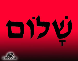 לימוד עברית אונליין מכל מקום