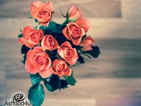 3 רעיונות לחגוג יום נישואין