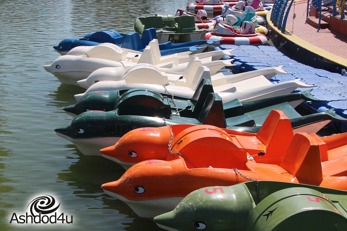 זה קורה: הפיילוט לפארק המים האתגרי