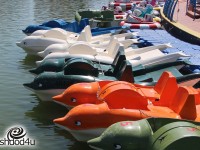 זה קורה: הפיילוט לפארק המים האתגרי