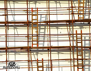 אילו סוגי פיגומים קיימים?