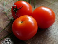 הבדלים בין סוגי העגבניות השונים