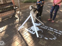 די לגללים - קמפיין עירוני חדש