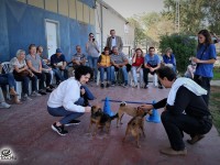 הפנינג אימוץ ענק בפסח