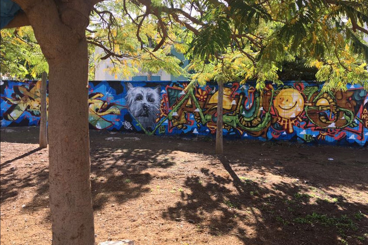 אומנות הגרפיטי בפארק הכלבים ברובע ח׳