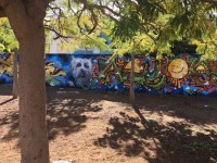 אומנות הגרפיטי בפארק הכלבים ברובע ח׳