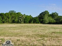 נחלה - מה שכל אחד מאיתנו רוצה