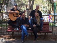 כמו צמח בר - פרחים ומשוררים בזמר העברי.