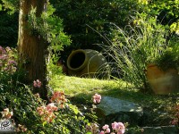 מתי כדאי להזמין שירותי כריתת עצים בבית פרטי?