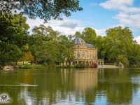 איך למצוא חבילות נופש ליער השחור?