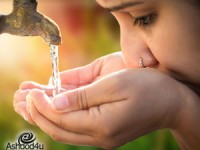 בין אקולוגיה לטכנולוגיה - טכנולוגיות המים הישראליות שכובשות את העולם