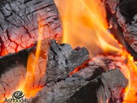 שת"פ בין קבלני אשדוד לעירייה לחלוקת קרשים למדורות ל"ג בעומר