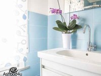 המלצות למציאת חברת ניקיון באשדוד