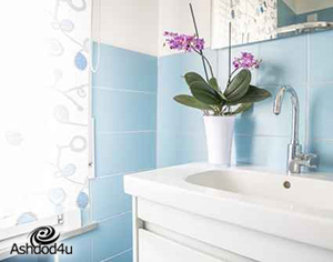 המלצות למציאת חברת ניקיון באשדוד