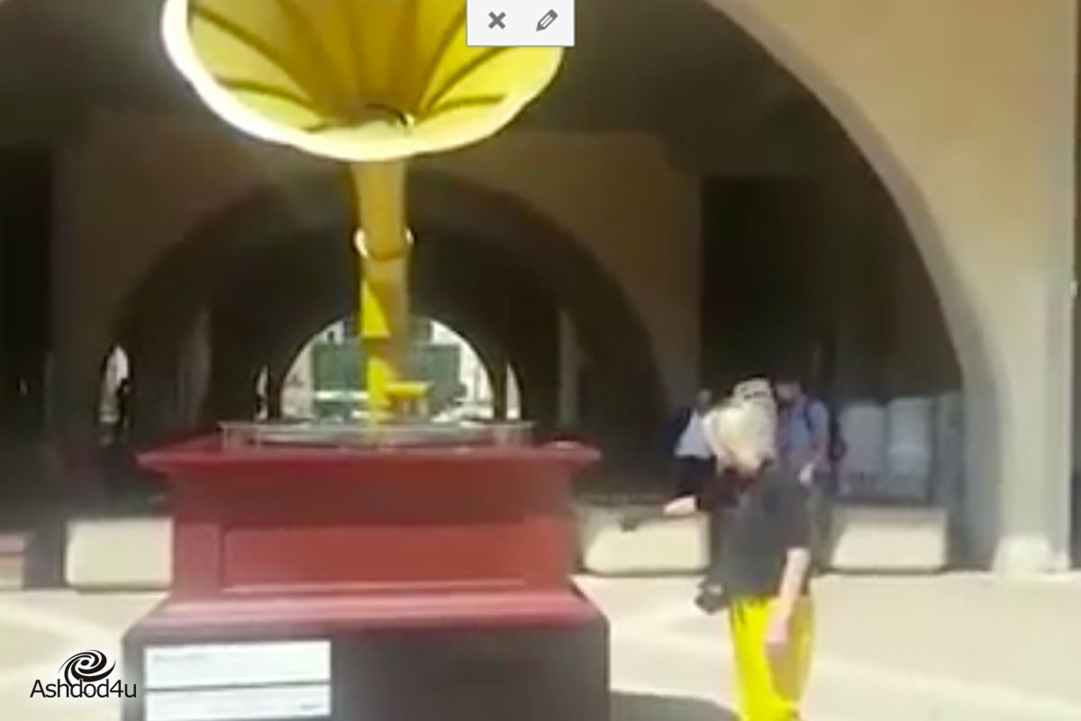 Toy - גם באשדוד