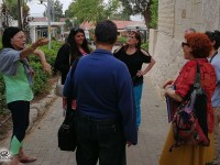 הליכת ג'יין למען חתולי הרחוב