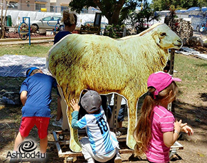 שבועות שיא בחווה