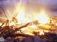 בל"ג בעומר לא משחקים באש