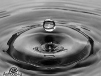 למה חשוב לשתות בקיץ?