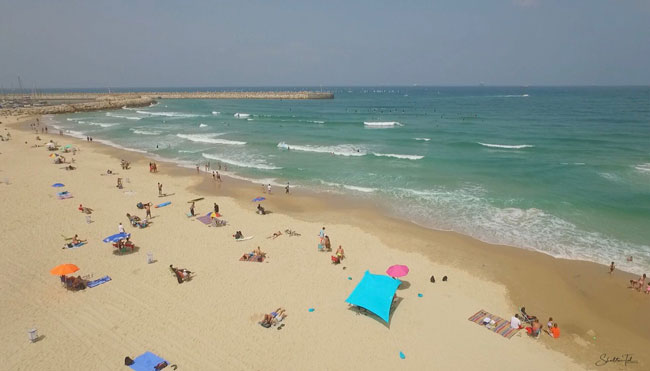 צילום: שבתאי טל