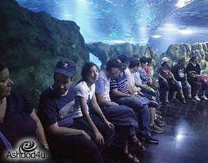 לימודי היסטוריה בדרך אחרת