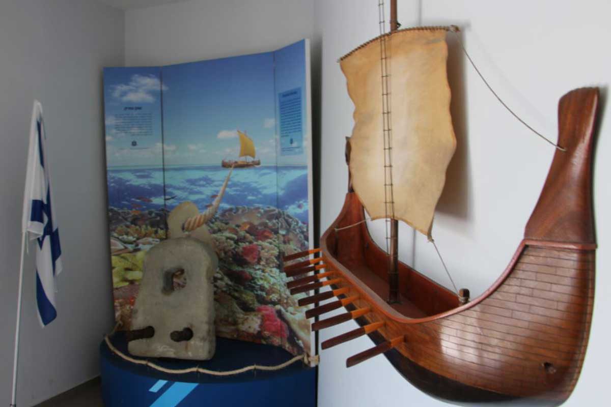 צלמי משקפיים ורודים באירועי נמל אשדוד