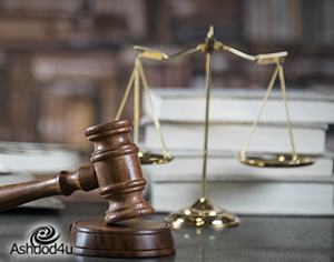 העירייה פעלה במקצועיות וברגישות