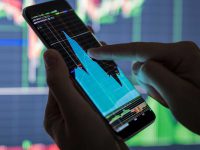 המדריך לזיוף סקרים באינטרנט