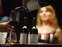 פסטיבל היין, לראשונה בפארק אשדוד ים