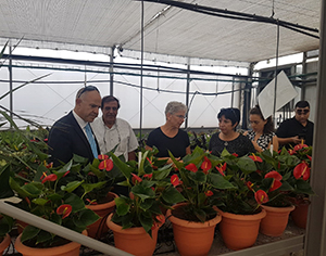 "המעט שמלמד על המרובה"