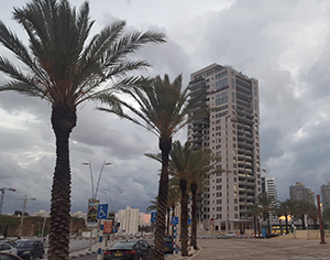 מכינים את המטריות