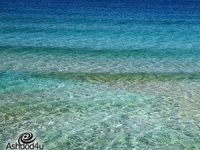 בואו לחגוג על הים