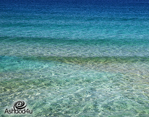 בואו לחגוג על הים