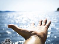 ציליה לים: כיצד לבחור את הצילייה הטובה עבורנו