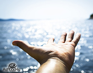 ציליה לים: כיצד לבחור את הצילייה הטובה עבורנו