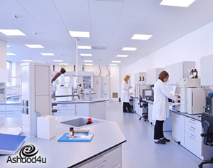 כיצד משפרות מצלמות תרמיות את רמת הבטיחות והיעילות בעסק