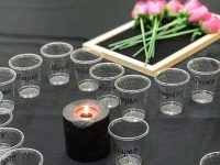 הסרטון שיטלטל אתכם - מחאת הלביאות לרצח נשים