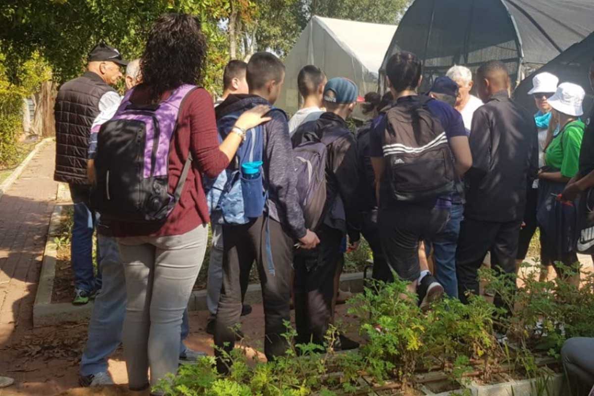 פעילות בין דורית בחווה החקלאית