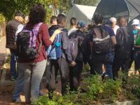 פעילות בין דורית בחווה החקלאית