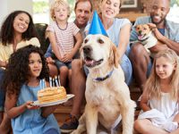 5 יתרונות לכלבים במשפחה