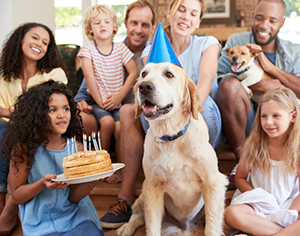 5 יתרונות לכלבים במשפחה