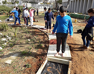 יום שיא בגינה האקולוגית