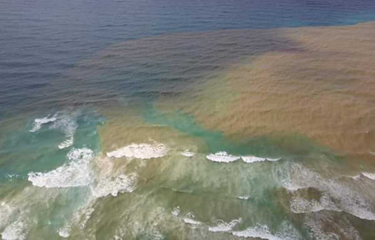תיעוד מהשטח: כך מזהמים את חופי אשדוד ונחל לכיש