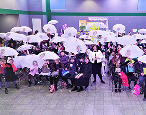 הרמוניה של צבעים