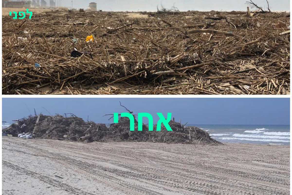 הנחל פלט, אגף החופים פינה