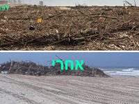 הנחל פלט, אגף החופים פינה