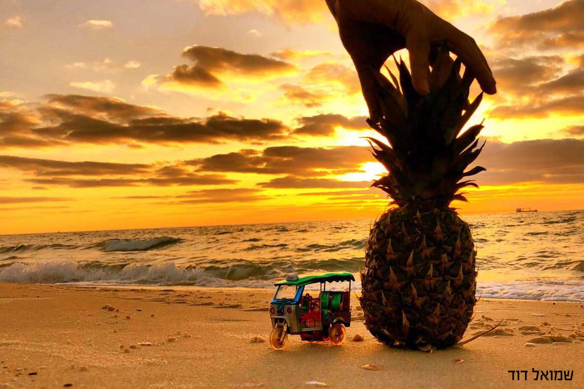 חופים, הם לפעמים... סיבה לגאווה